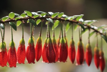 佛山顺德区9私人快速借钱网，轻松解决资金难题