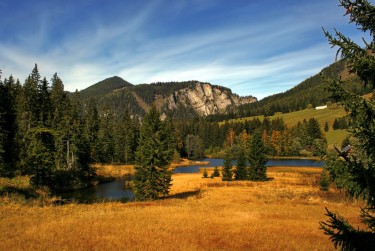 佛山顺德区9民间私贷攻略：揭秘低成本借贷的秘密