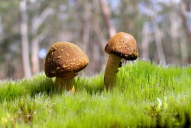 佛山顺德区9私人老板放款：轻松融资的秘密通道